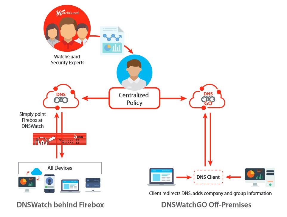 DNSWatchGo How it works